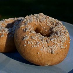 Bruegger's rosemary olive oil bagel