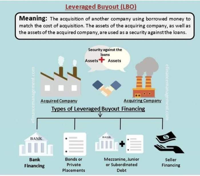 A recent leveraged buyout was financed with m