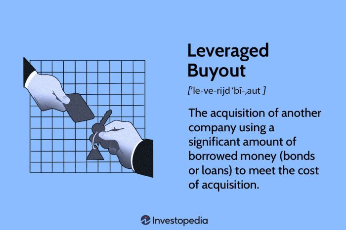 A recent leveraged buyout was financed with m