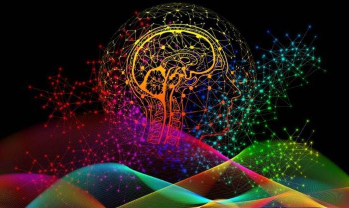 Brain bisection and the unity of consciousness