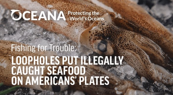 Seafood watch has made several unsustainable fishing practices illegal